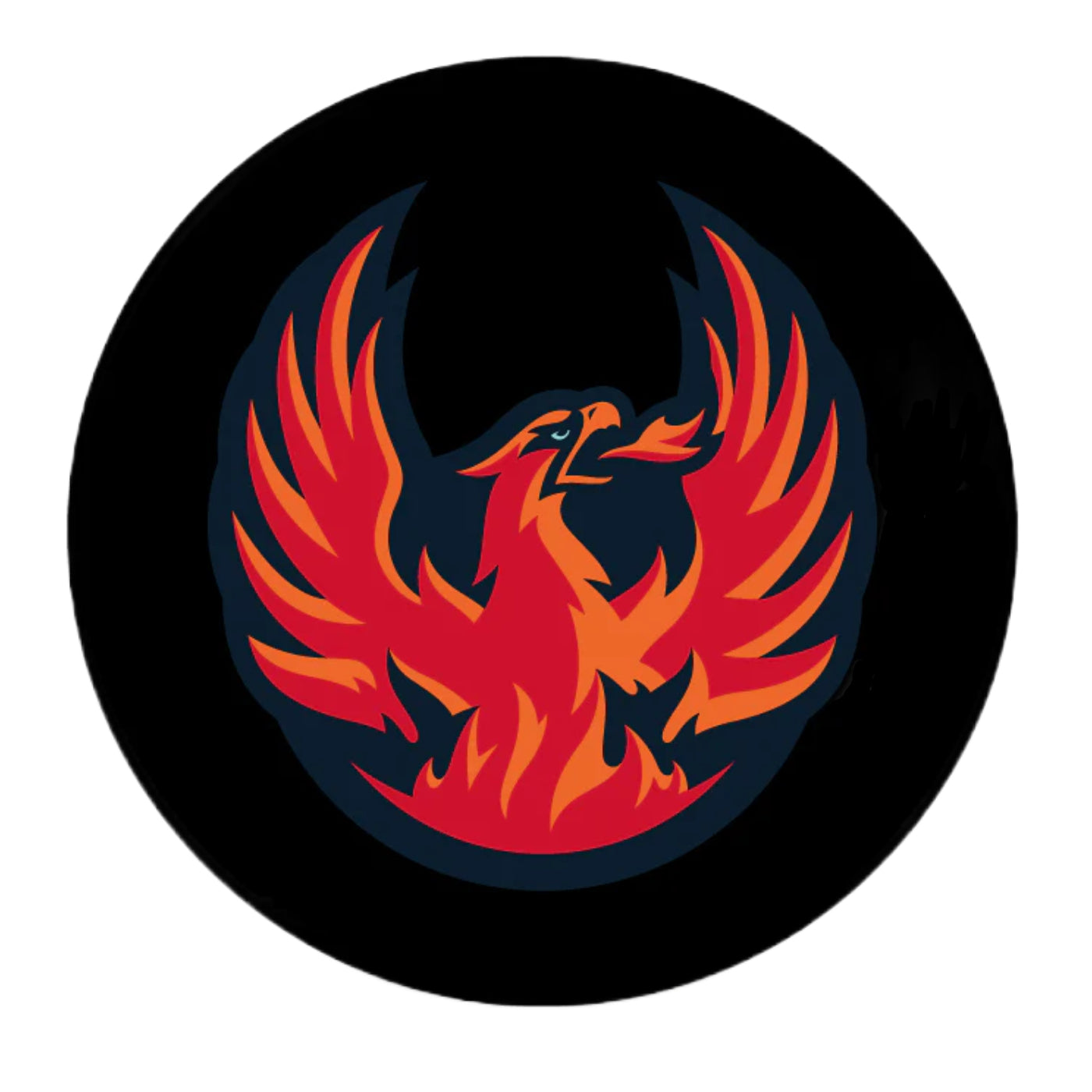 Coachella Valley Firebirds Black Puck