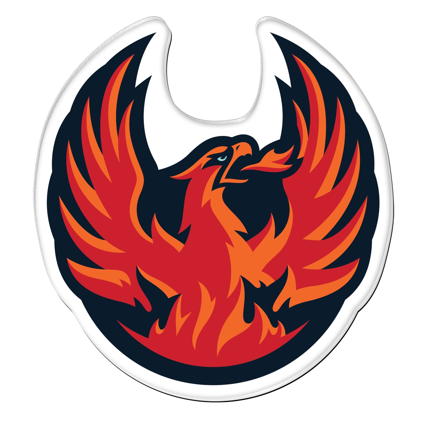 Coachella Valley Firebirds Primary Acrylic Magnet