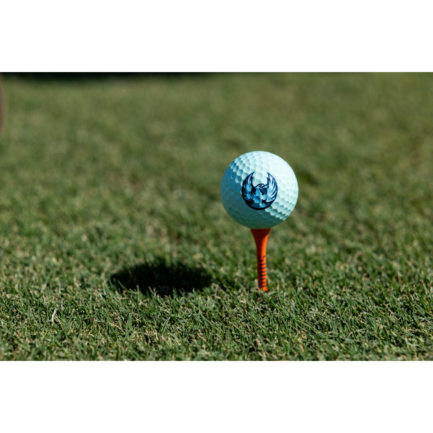 Coachella Valley Firebirds Ice Blue Golf Ball 3-Pack