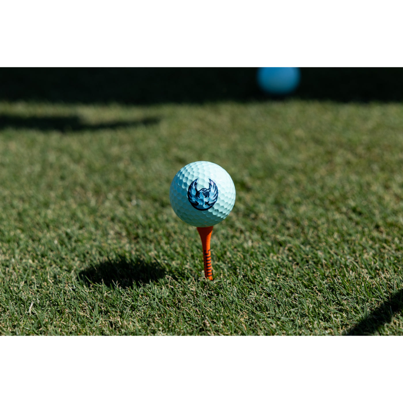 Coachella Valley Firebirds Ice Blue Golf Ball 3-Pack