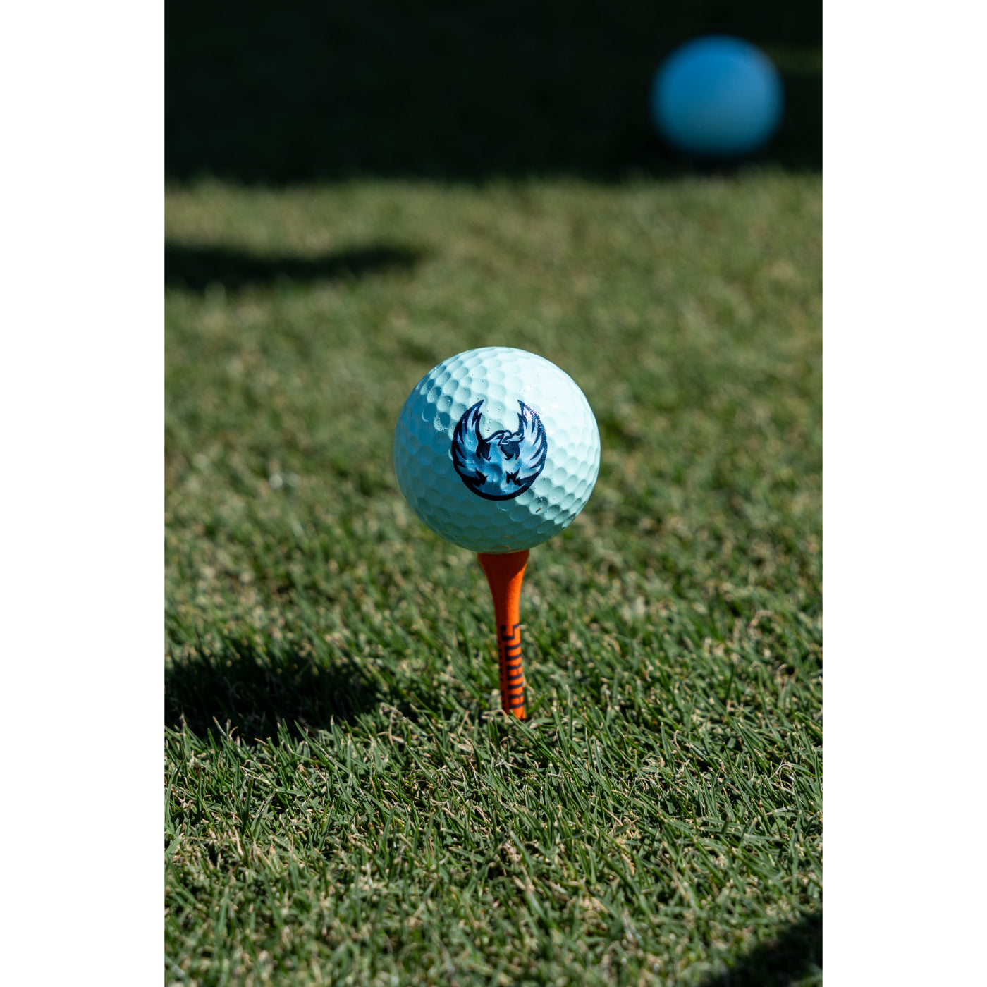 Coachella Valley Firebirds Ice Blue Golf Ball 3-Pack