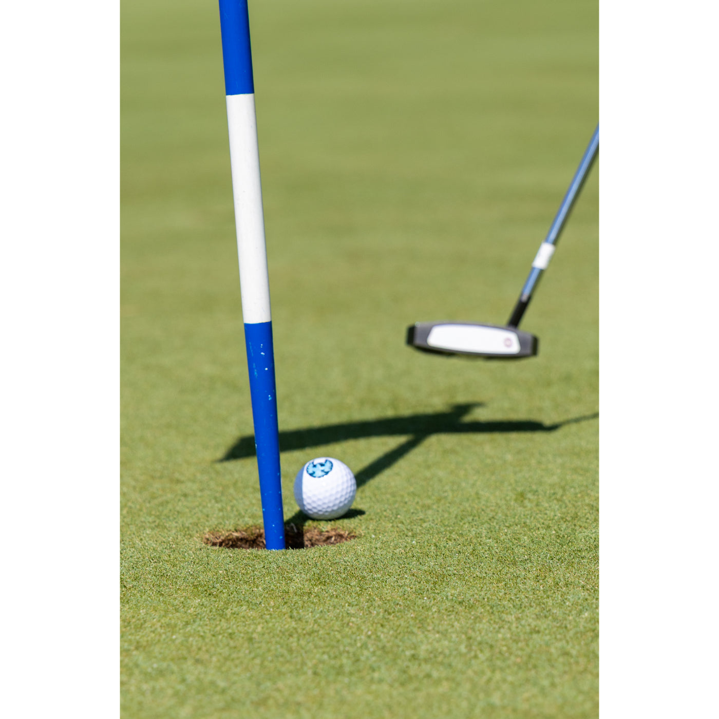 Coachella Valley Firebirds White Golf Ball 3-Pack