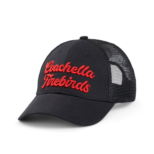 Coachella Valley Firebirds Raw Edge Dad Hat