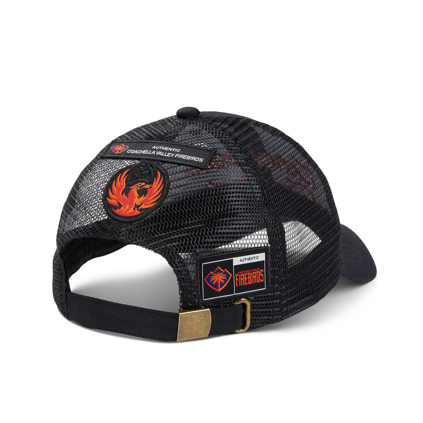 Coachella Valley Firebirds Raw Edge Dad Hat