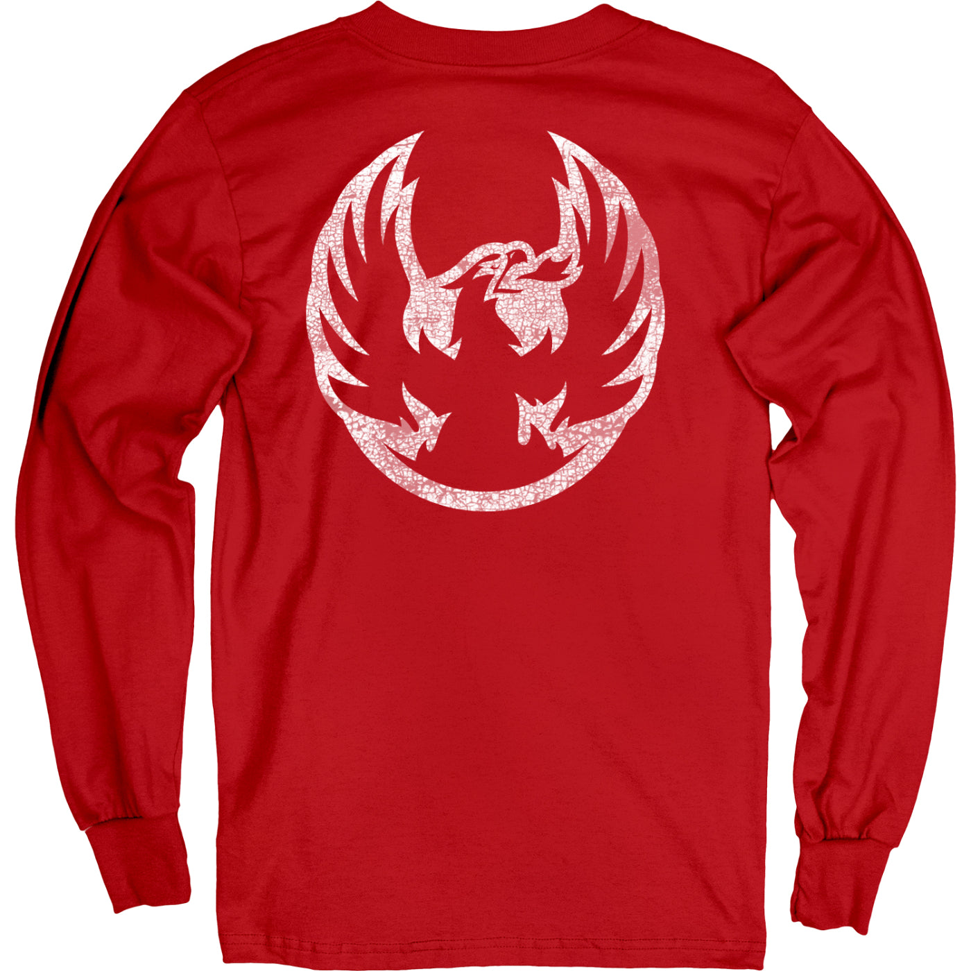 Coachella Valley Firebirds Primary Landrum Long Sleeved Tee