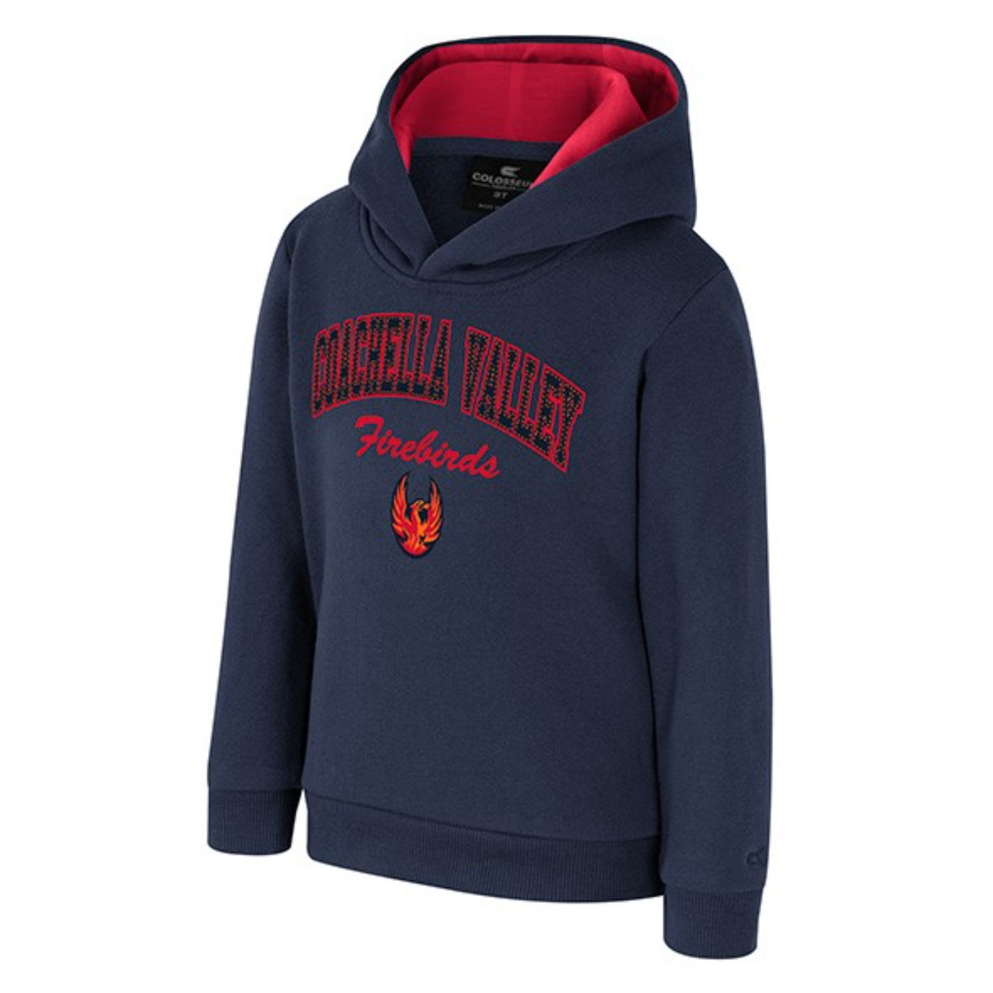 Coachella Valley Firebirds Toddler Navy Hoodie