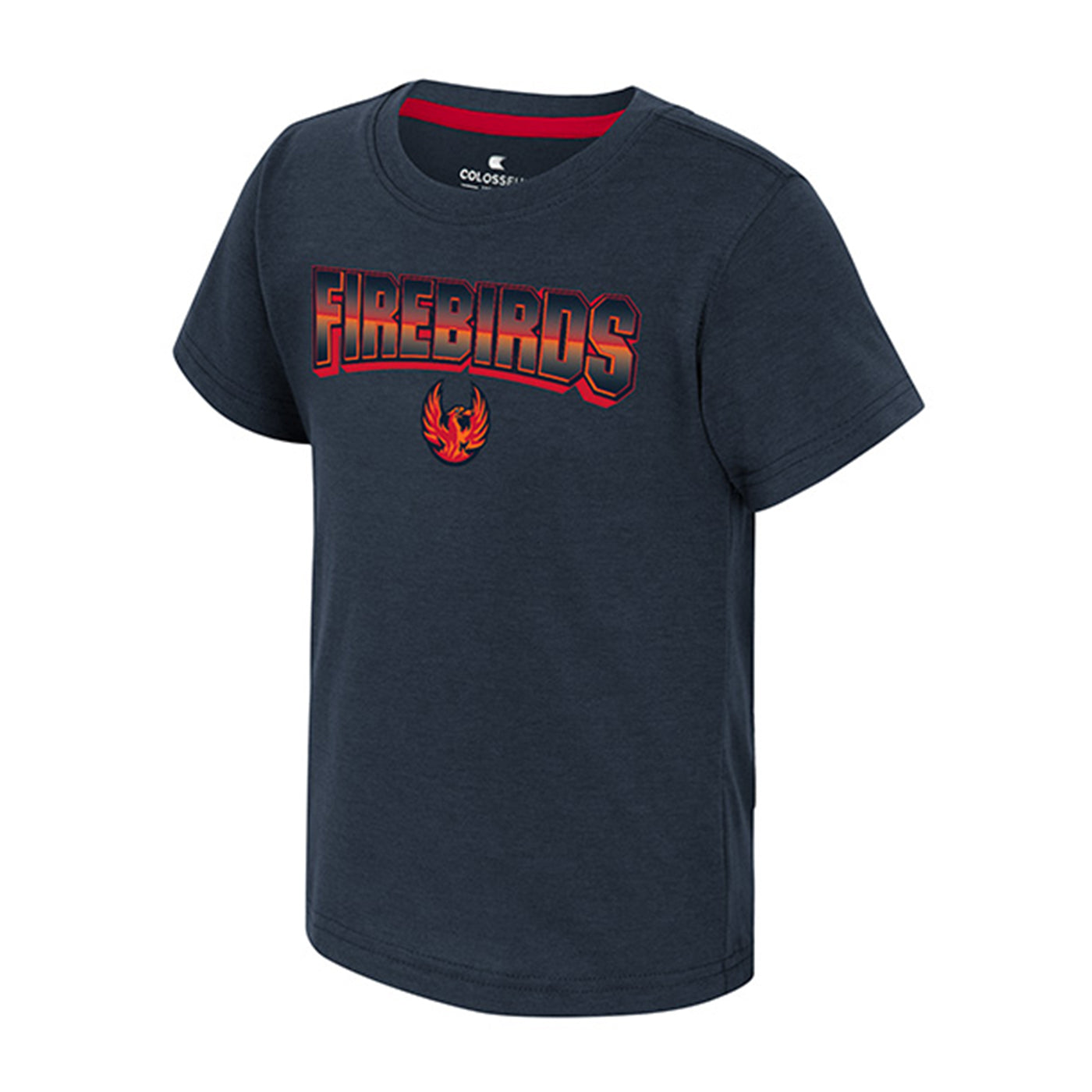 Coachella Valley Firebirds Element Toddler Tee