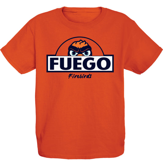 Coachella Valley Firebirds Tokyodachi Sho Ten Tee Y