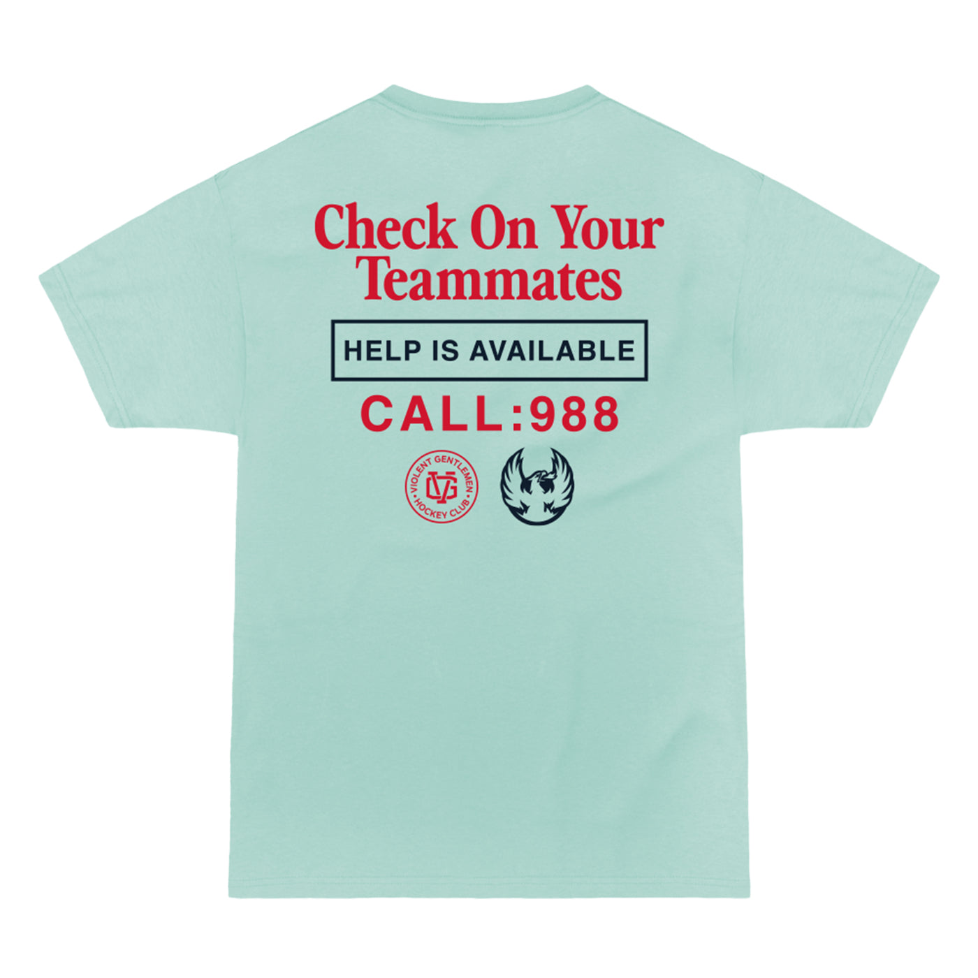 Coachella Valley Firebirds Check On Your Teammates Ice Blue Tee