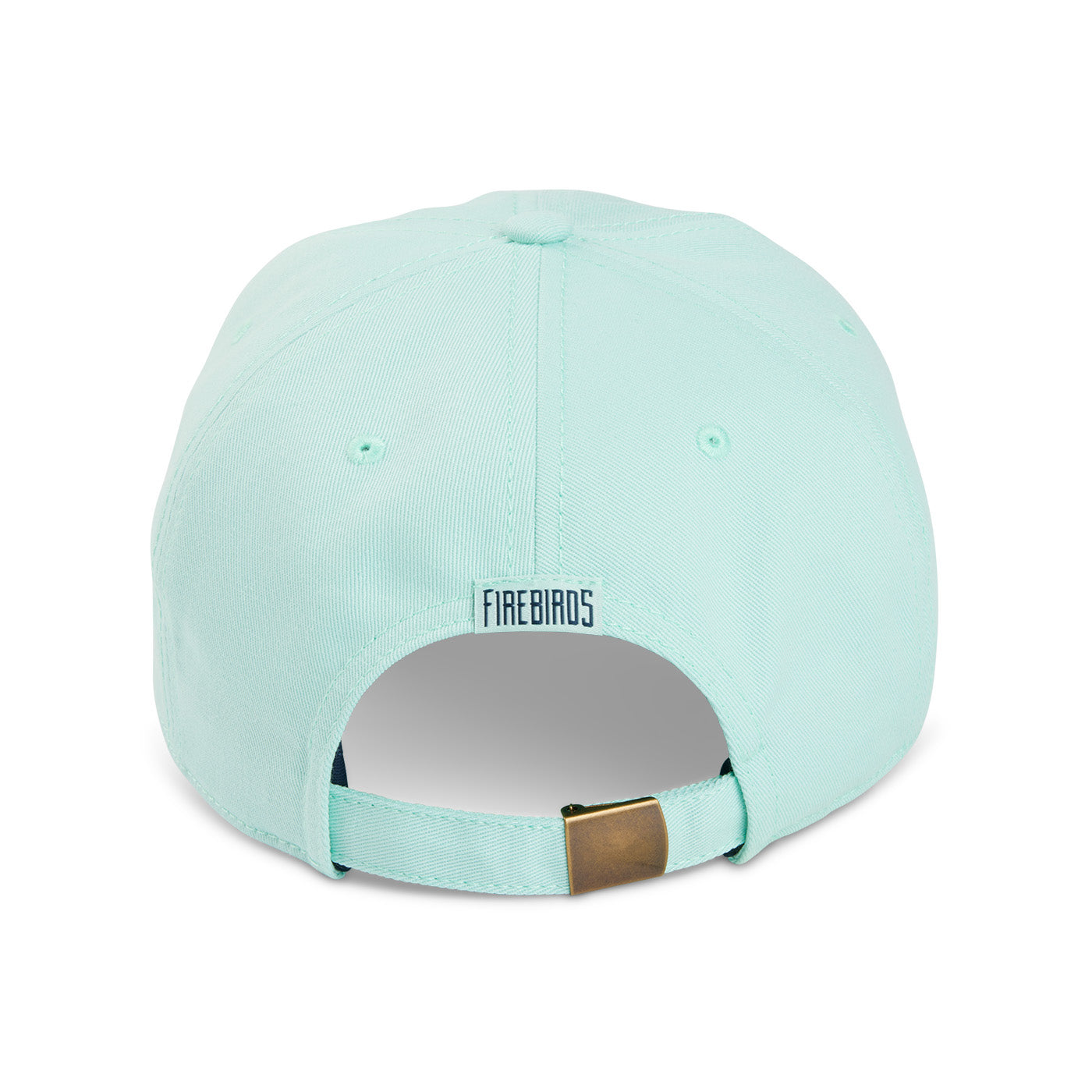 Coachella Valley Firebirds Unstructured Ice Blue Hat